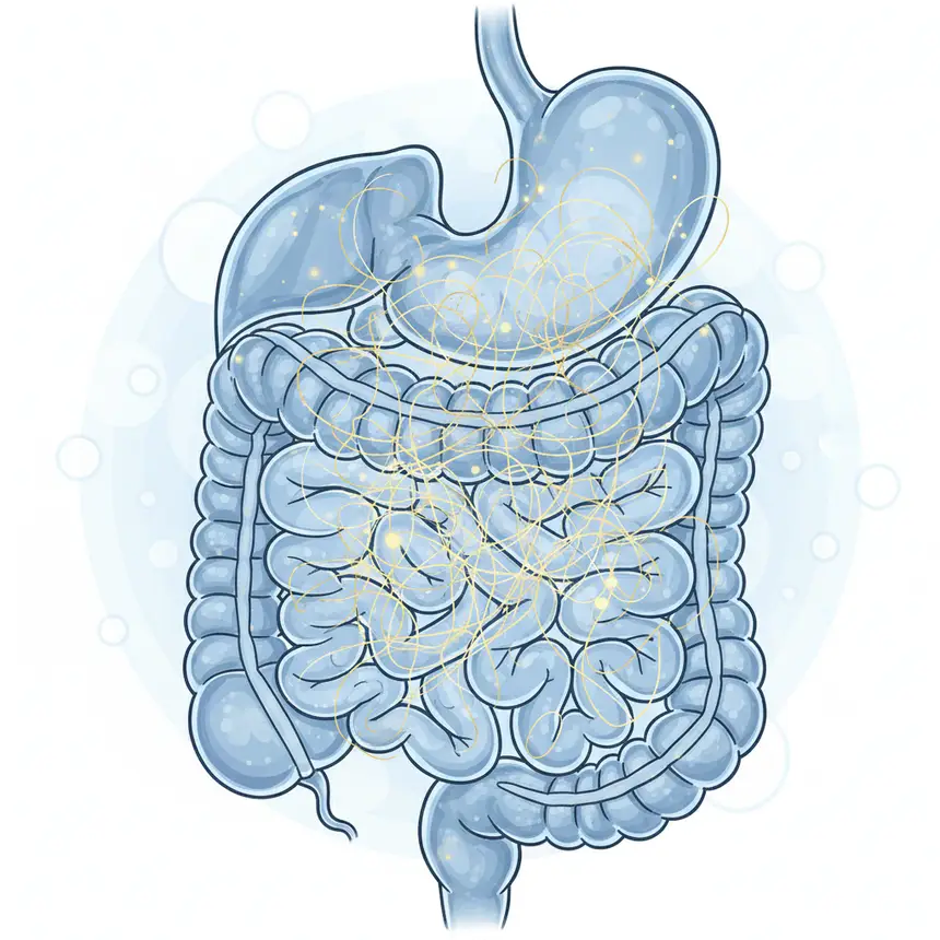 Nutrient absorption challenges