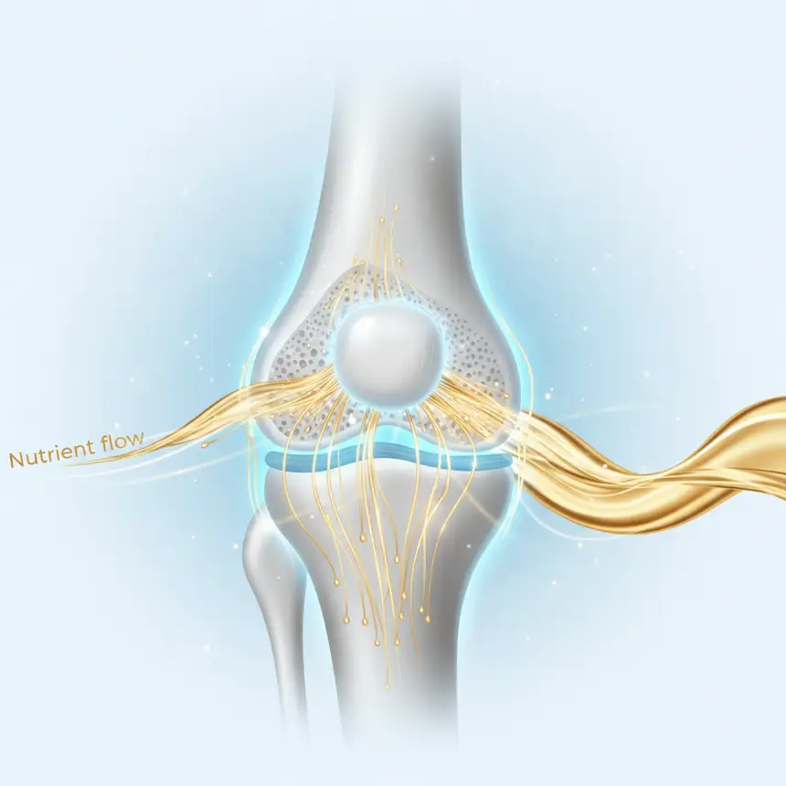 Cartilage health, joint nutrients, blue flow